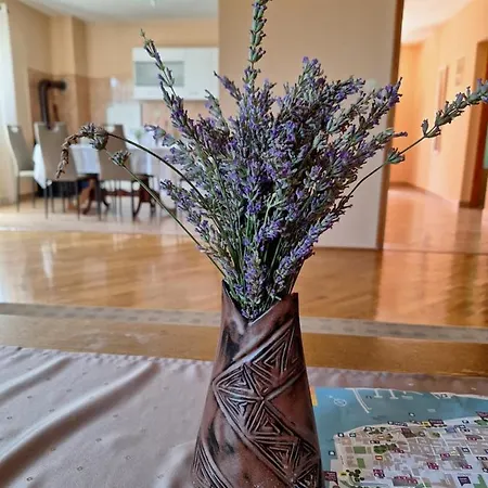 Lejlighed Mara Zadar