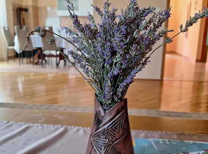 Διαμέρισμα Mara Ζαντάρ